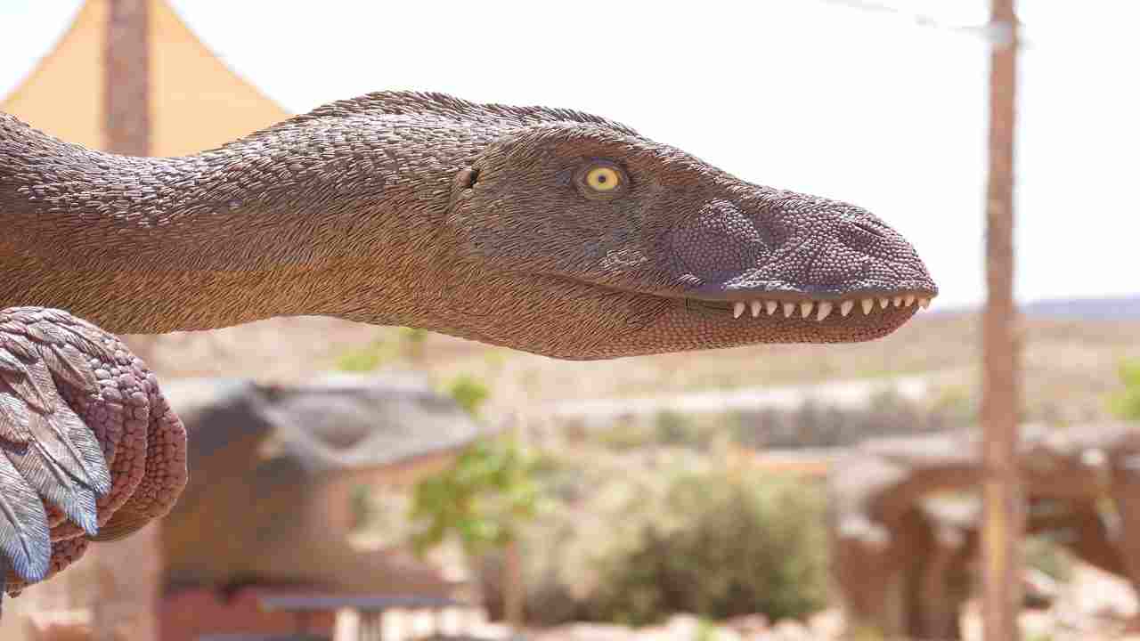 Dinosauri, molto più simili a polli che a grosse lucertole - curiosauro.it- 03022022