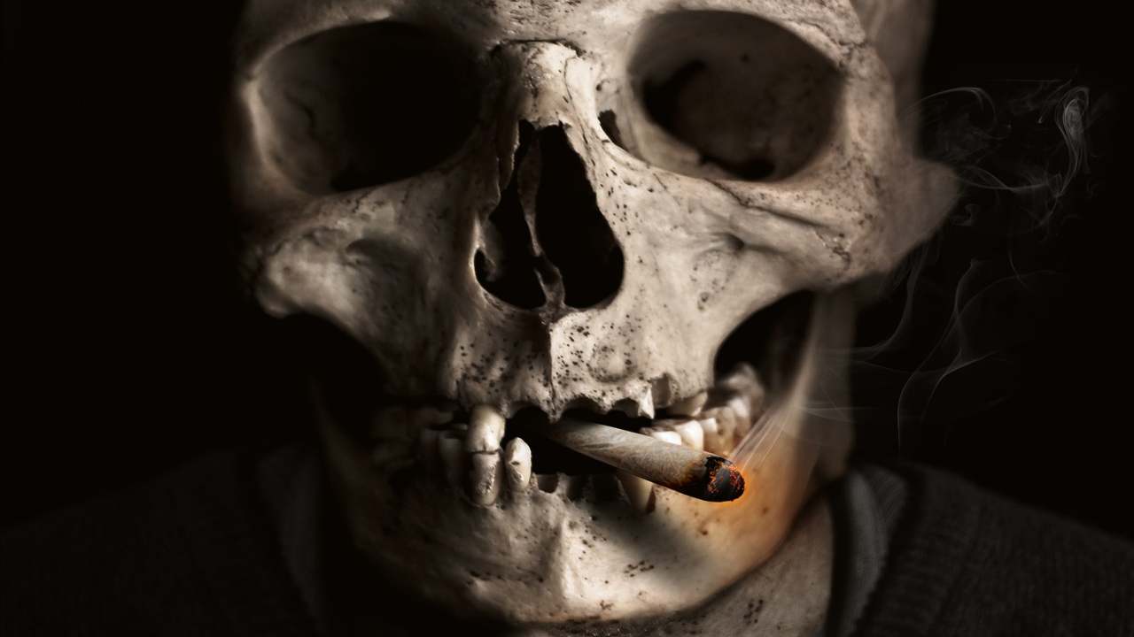 Polmoni, la ricetta detox per chi vuole smettere di fumare- cuiosauro.it-05042022