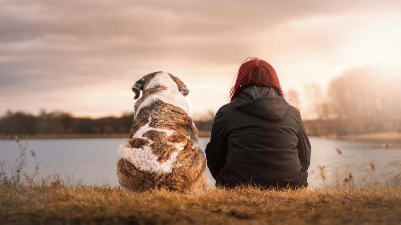 Cani, c'è un aspetto che hai sempre pensato di sapere, ma che in realtà non sai-curiosauro.it- 08052