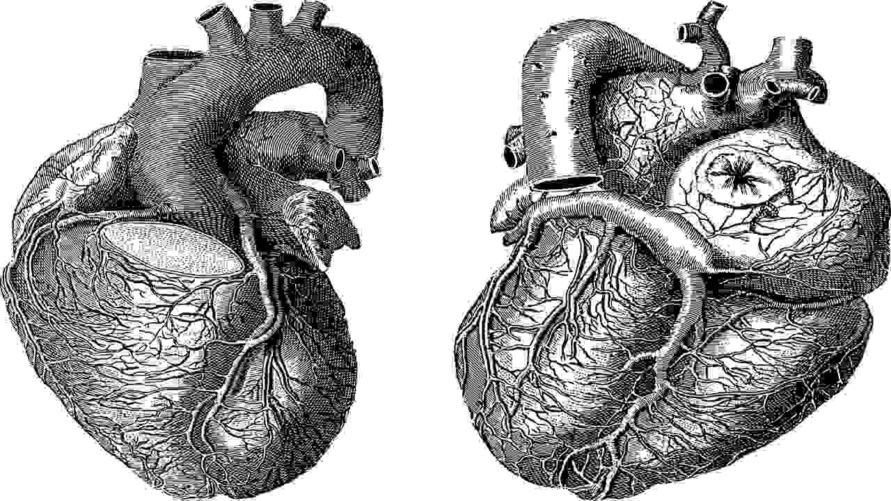 Cuore: presentata l'arma che incide sul ritmo cardiaco