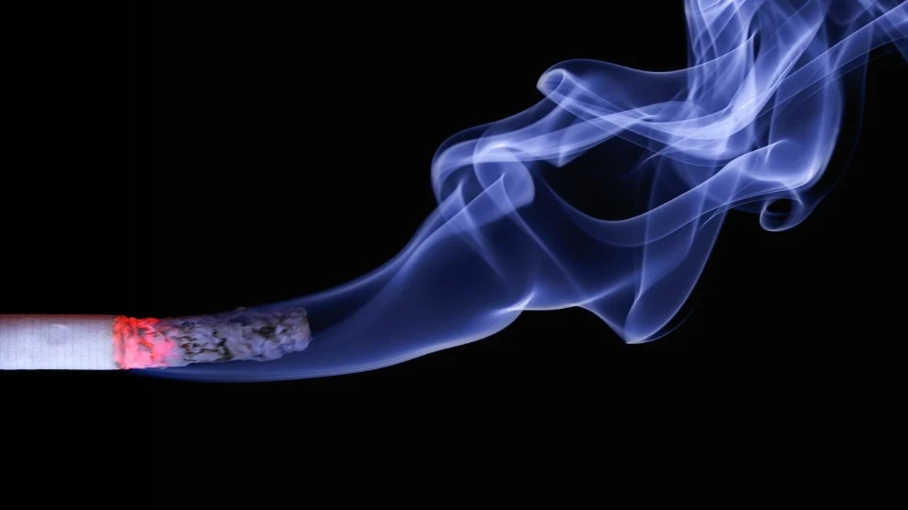 Oggi è la _Giornata mondiale senza tabacco 2022__ fumatori in impennata dopo il Covid-curiosauro.it-310522