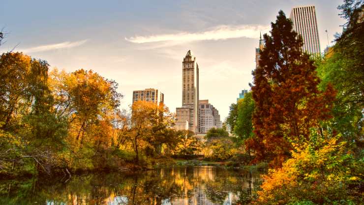 central park www.curiosauro.it