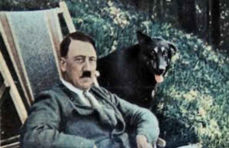 Hitler con cane www.curiosauro.it 