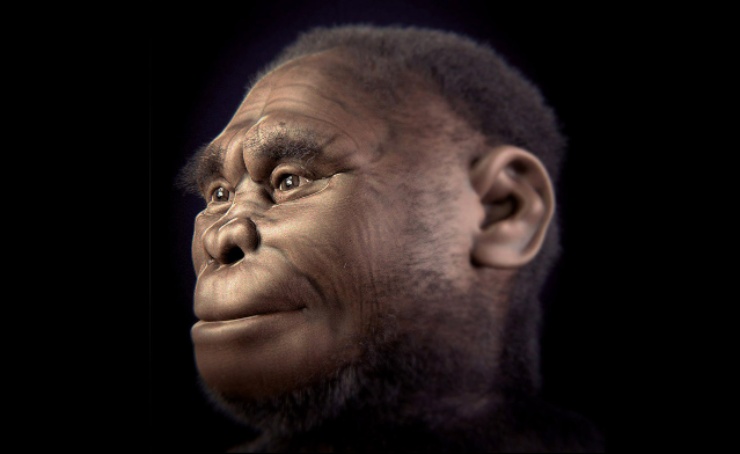 Homo floresiensis www.curiosauro.it 