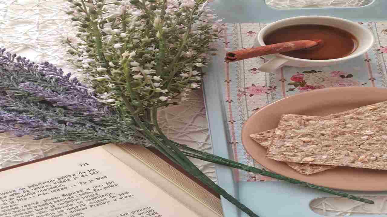 Lavanda: la pianta fantastica che toglie lo stress- curiosauro.it-230622