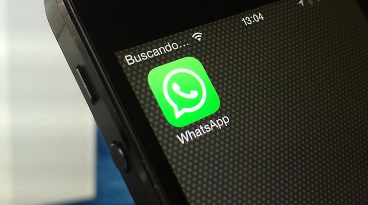 whatsapp www.curiosauro.it