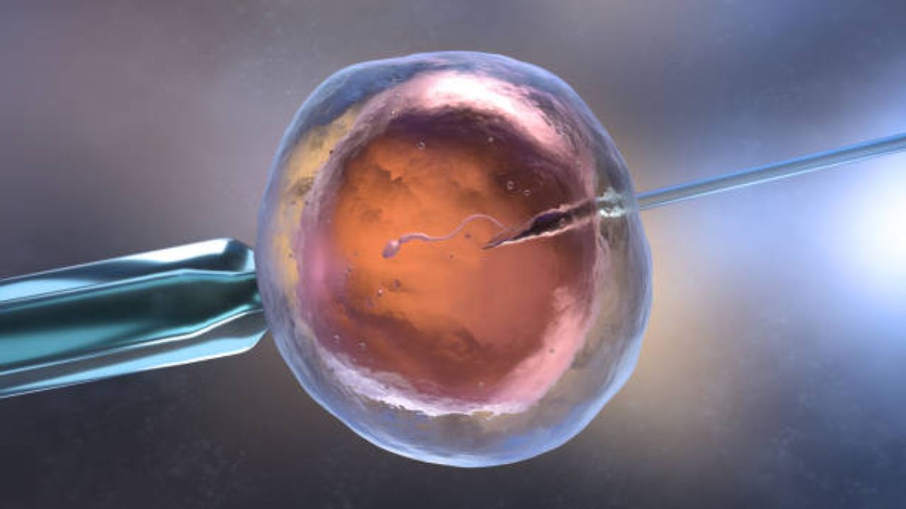 Infertilità: scoperti geni dannosi per la produzione degli spermatozoi- curiosauro.it- 090722
