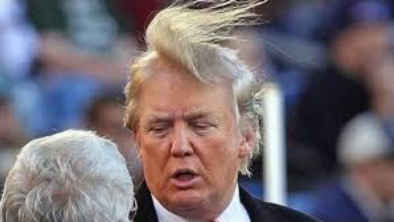 Trump parrucchino www.curiosauro.it 
