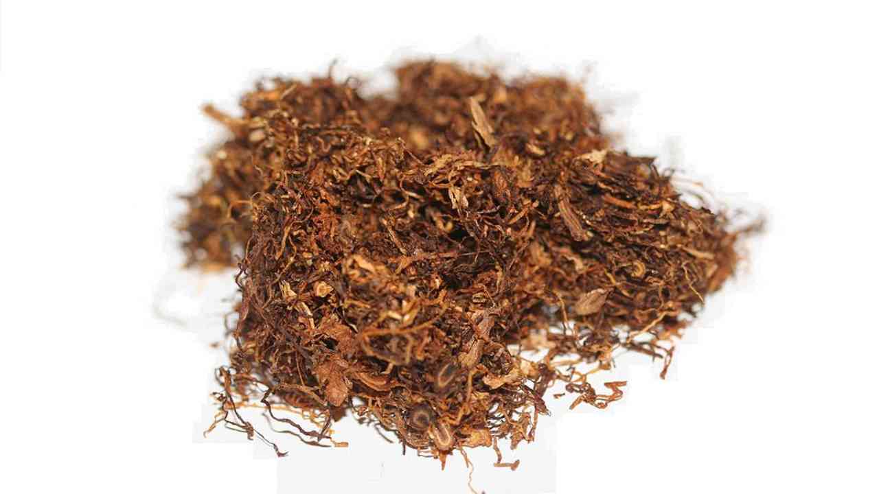 Tabacco sfuso - www.curiosauro.it