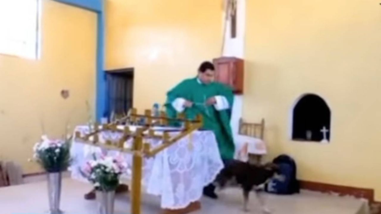 Sacerdote prende a calci un cane in chiesa