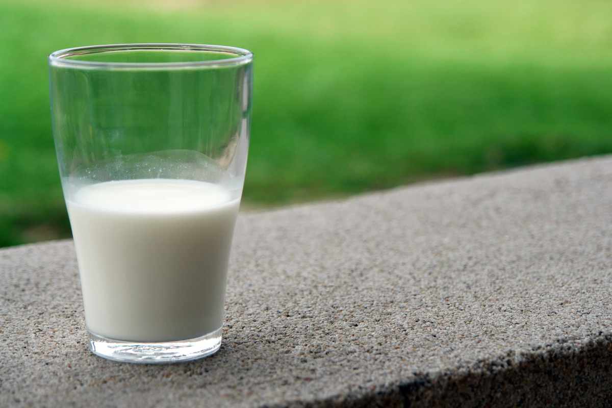 Latte: quale bere per ridurre l'impatto ambientale