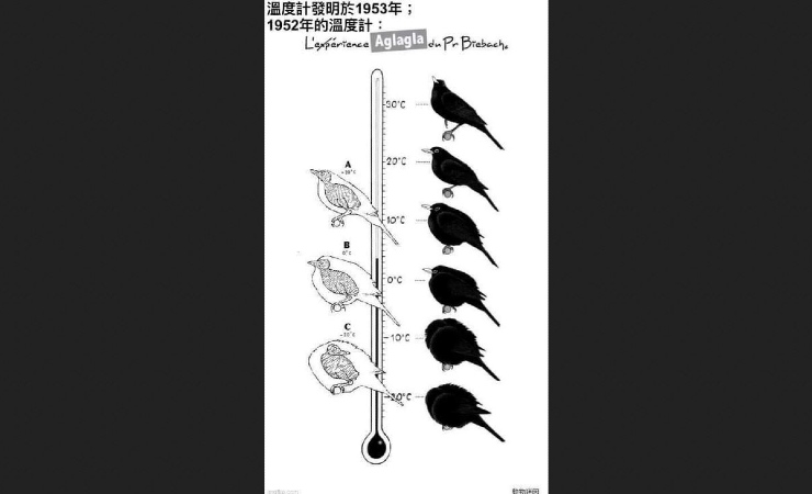 uccelli e temperatura: la relazione