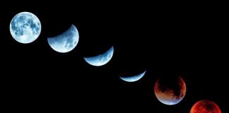 Beaver moon