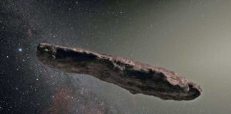 asteroide_curiosauro