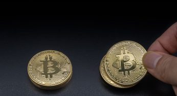 Elon Musk di Tesla c’entra con Bitcoin Prime? | Non pare | Non si può superare la crisi con le criptovalute
