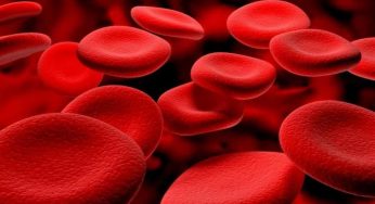 Acquisire immagini 3D di cellule microscopiche: ora si può
