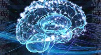 Sembra fantascienza, invece ora si possono impiantare ricordi artificiali
