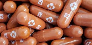 Farmaco contro il Covid-19 - curiosauro.it
