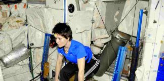 Palestra spaziale