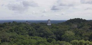 Guatemala