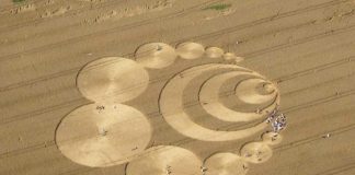 crop circle