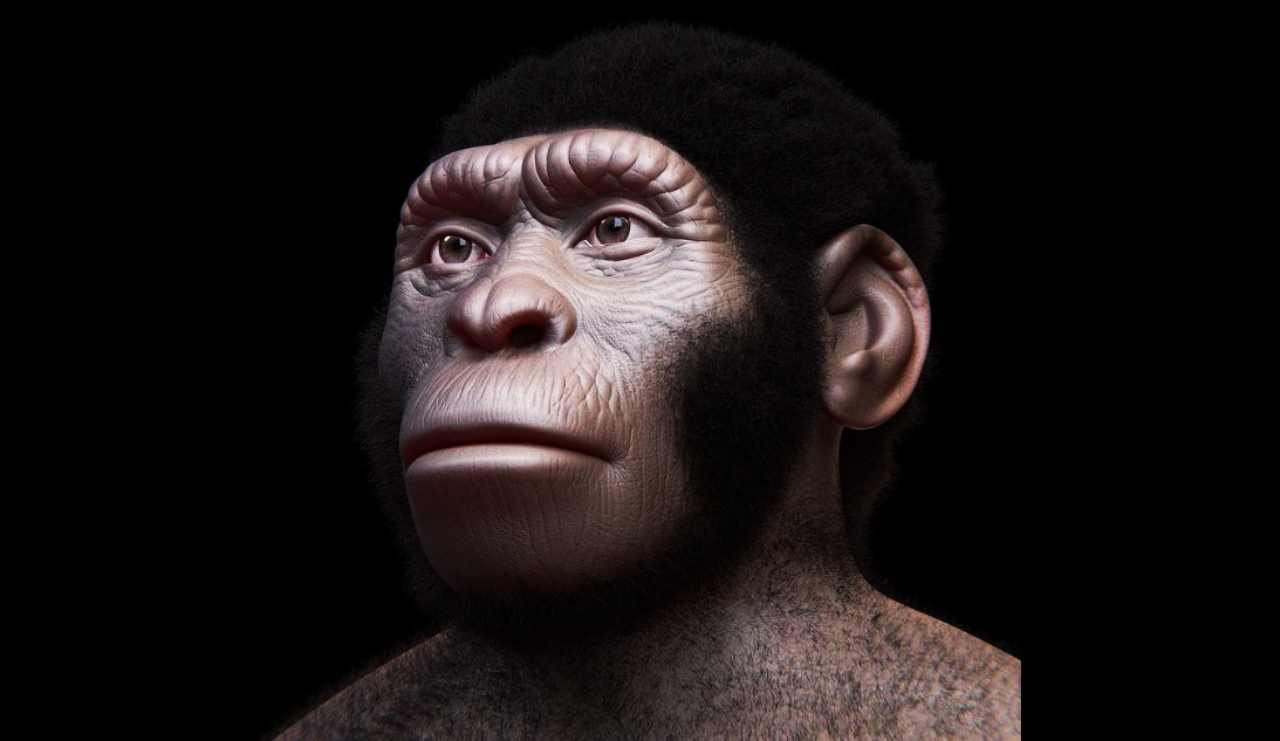 Homo naledi