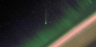 cometa Leonard