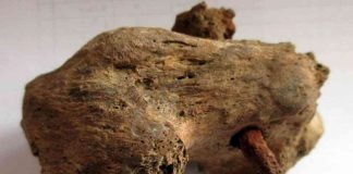 crocifissione