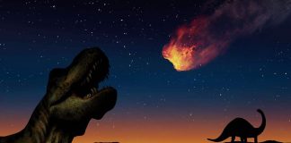 L'estinzione dei dinosauri (20211215Curiosauro.it)