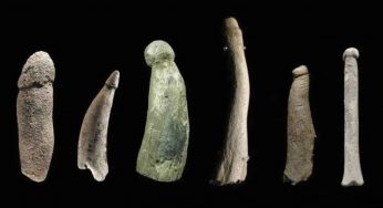 I primi dildo della storia: erano usati dagli uomini della pietra