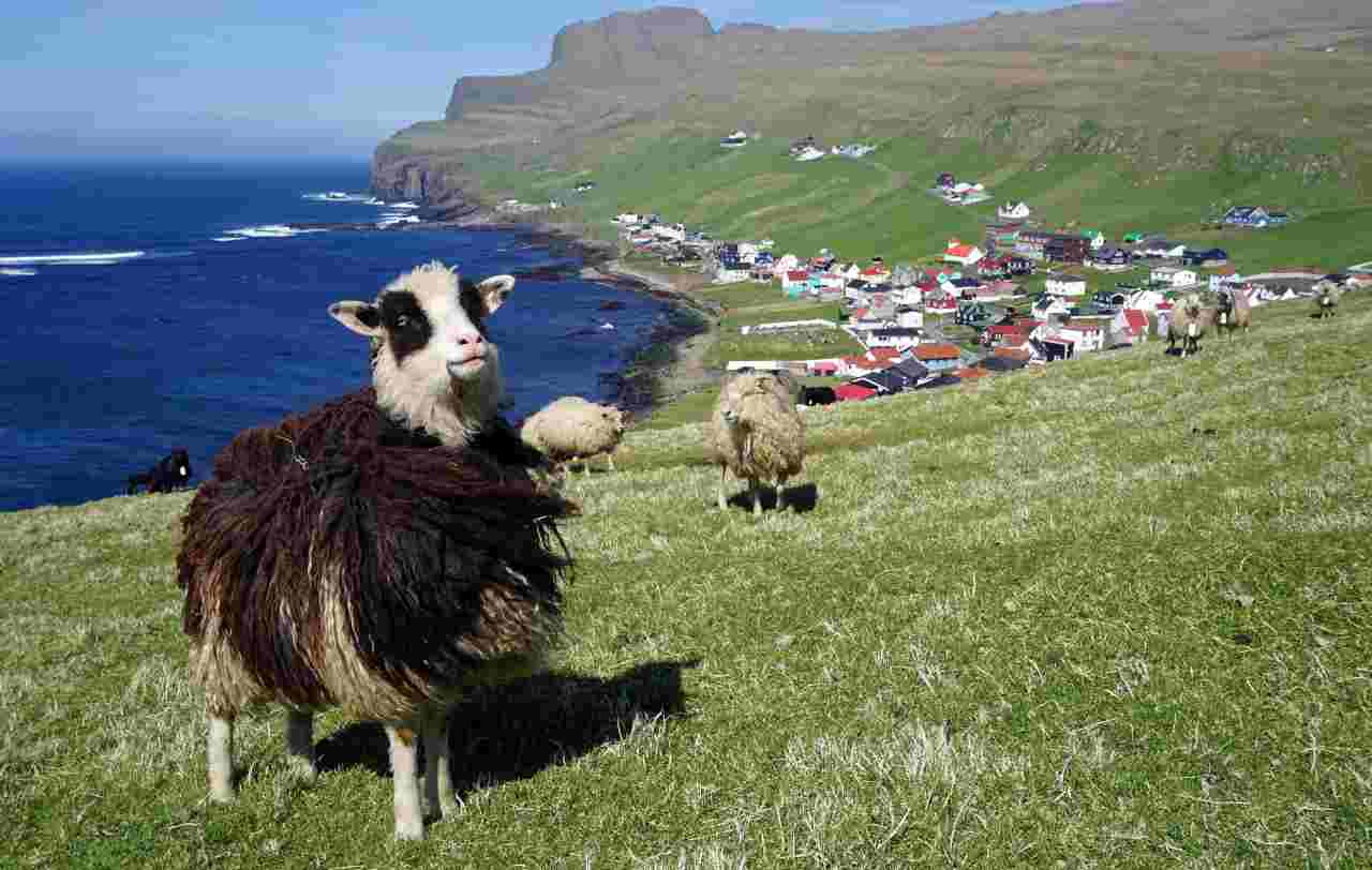 Faroe