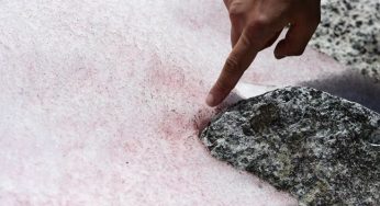 Sulle Alpi nevicano 43 trilioni di nanoparticelle di plastica