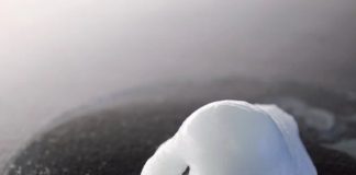 3D
