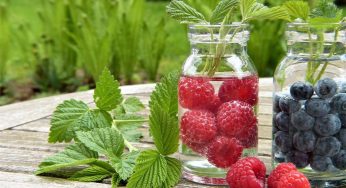 Alimentazione | Acqua Detox: tutto ciò che non sai