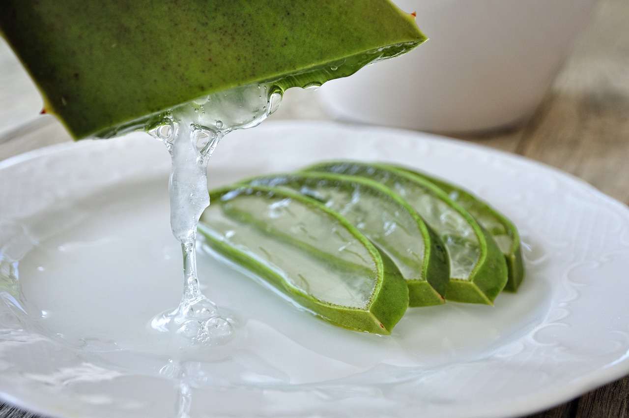 Aloe vera, tutti i benefici di questa pianta miracolosa- curiosauro.it -14022022