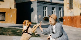 Cani, ecco quante parole riescono a capire- curiosauro.it-18022022