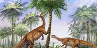 Dinosauro