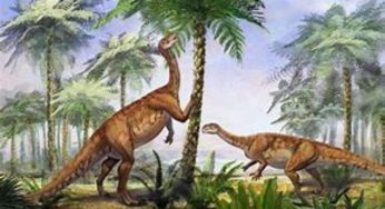 Esemplare di dinosauro trovato morto a causa dell’influenza!