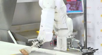 Flippy, il robot che prepara patatine fritte