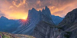 International Landscape