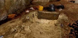 neve-neonata-sapiens-in-liguria