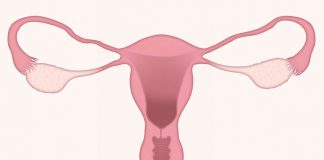 Pap Test del futuro quello in grado di rilevare anche il cancro al seno - curiosauro,.it 04022022