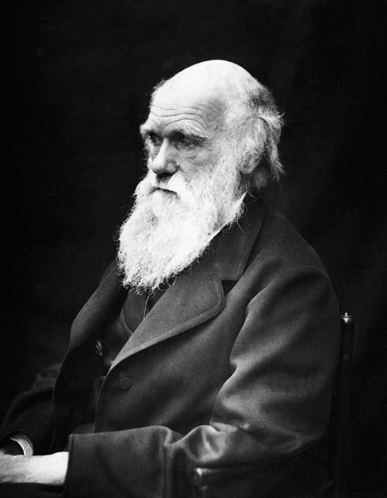 darwin day