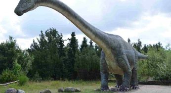 Dinosauri con infezioni respiratorie | Dolly, il diplodocide con il mal di gola