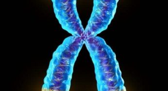 I telomeri e l’immortalità delle cellule cancerogene