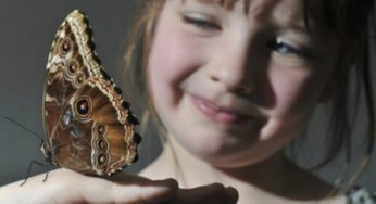 Bambini farfalla: quando la pelle diventa un nemico
