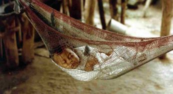 Il potere narcotizzante del dondolio | La scienza ci spiega perché le vibrazioni ci fanno addormentare