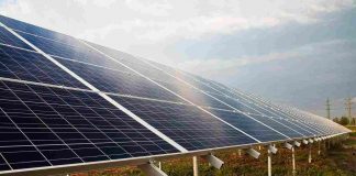 Agrivoltaico-per-la-produzione-di-energia-senza-fare-male-allambiente-curiosauro.it-280222