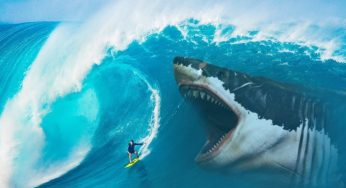 Megalodonte: lo squalo più grande del mondo
