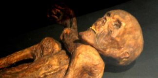 Ötzi